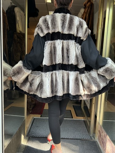 Chinchilla avec veste - chinchilla,