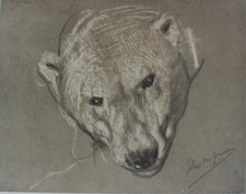 "John Macallan SWAN : HEAD OF