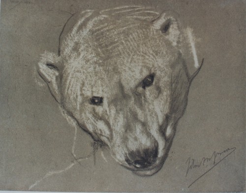 John macallan swan head - swan,