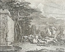  Les deux lézards Chasse