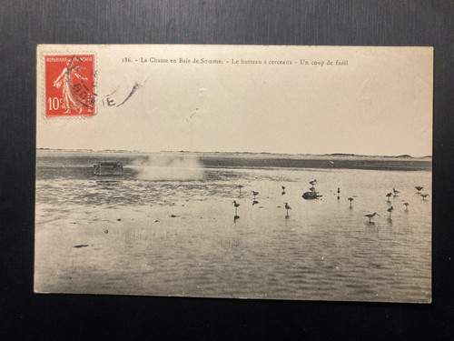 Cpa chasse baie de - la,