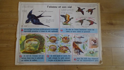 Vintage sciences ancienne - vintage,