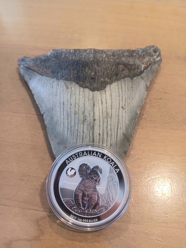 2017 australia 1oz silver - 2017,