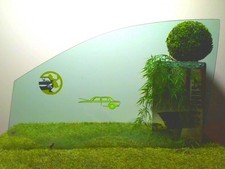 Vitre avant gauche RENAULT