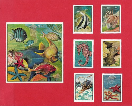 Poster stamps marine - poster,