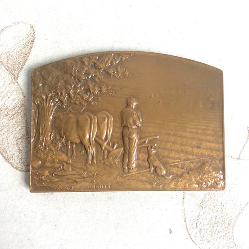 Médaille plaque bronze - plaque, g
