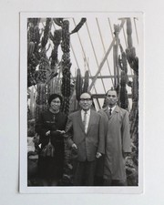 Femme hommes costumes cactus