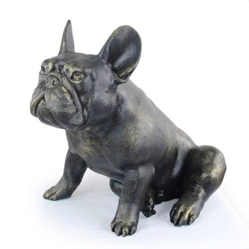 Bouledogue français - , ii