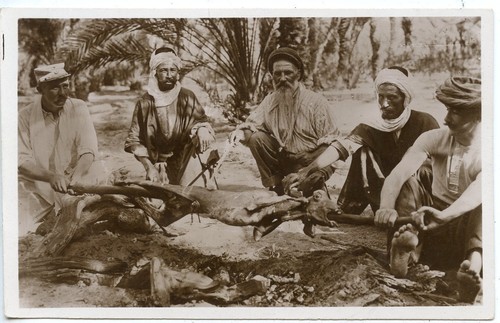 Carte postale postcard - , /
