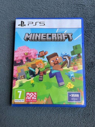 Minecraft sur playstation - sur, 5