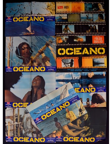 Photobustes oceano folco - oceano,