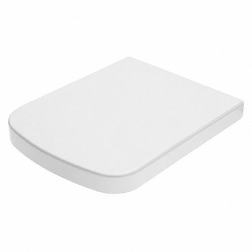 Abattant toilette vigour - toilette,