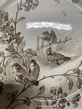 23cm Lot de 4x Assiette SARREGUEMINES Modèle Printemps Faïence Ancien Oiseau 4