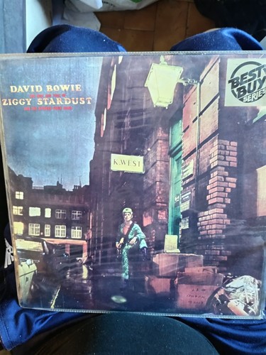 David bowie the rise and - david,