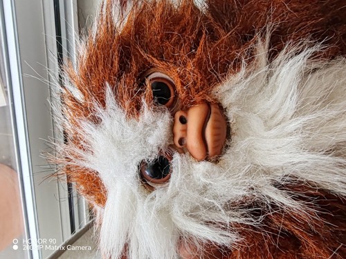 Warner bros peluche gizmo - warner,