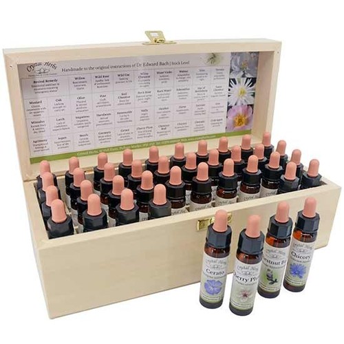 10ml bach fleur remède - bach,