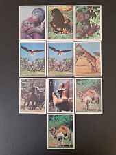 Lot 10 images autocollantes