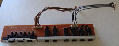 Korg 01r rack unit jack - korg,