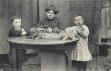 ANSE LE GEANT DES FLANDRES