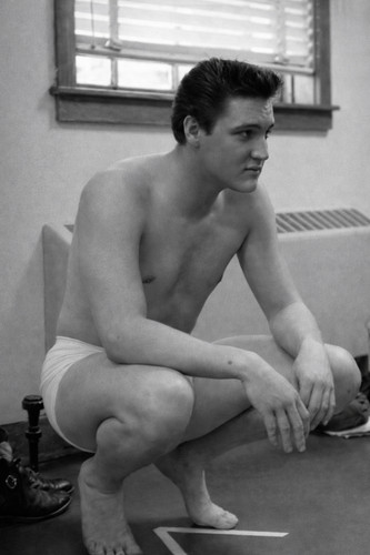 Elvis presley poster - elvis, 11x17