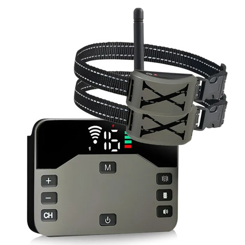 Collier anti fugue chien sans - collier,