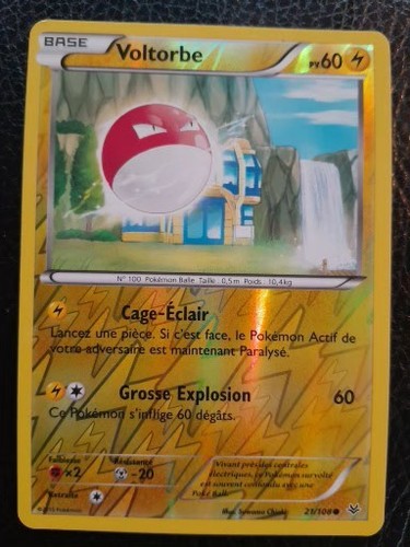 Voltorbe reverse xy6 - voltorbe, xy6:ciel