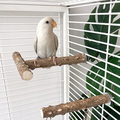 Perchoir pour cage - , à