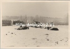 Photo, canons antiaériens