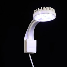  Vivier A Poisson Éclairage