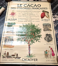 Affiche chocolat cacao - chocolat,