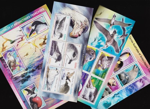 Taaf lot 4 - taaf,
