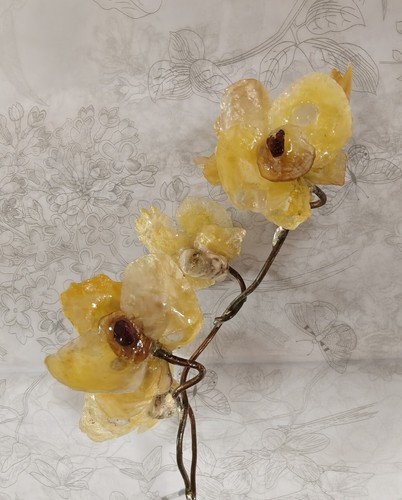 Orchidées ivoire coquillages - ivoire,