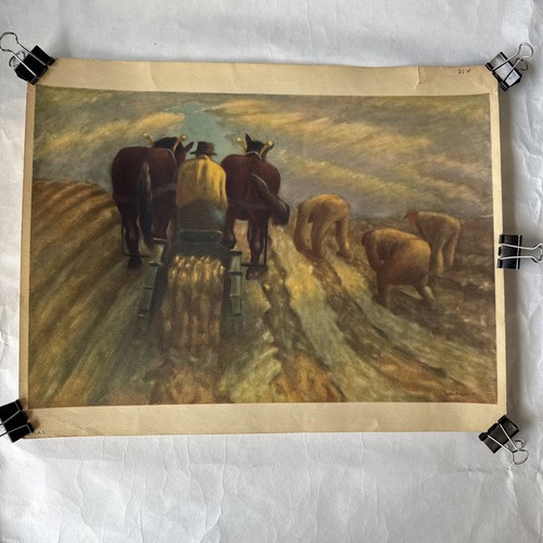 Vintage lithograph potato - vintage,