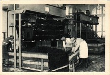 CPA AK Pressoir Le raisin est