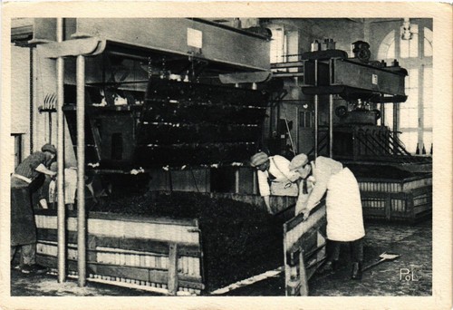Cpa pressoir raisin est - ak, le