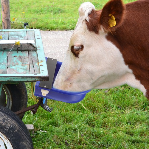 Bowl feeder drinker horse cow - bowl,