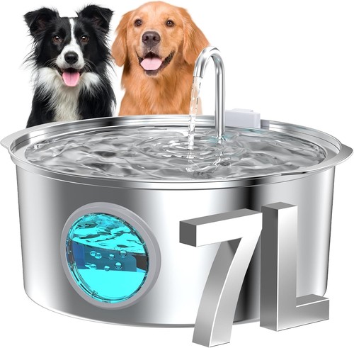 Fontaine eau chat chien - eau,