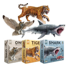 Tiger, Shark and Owl Animal
