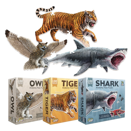 Tiger shark and owl animal - shark,