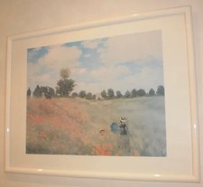 Reproduction les coquelicots