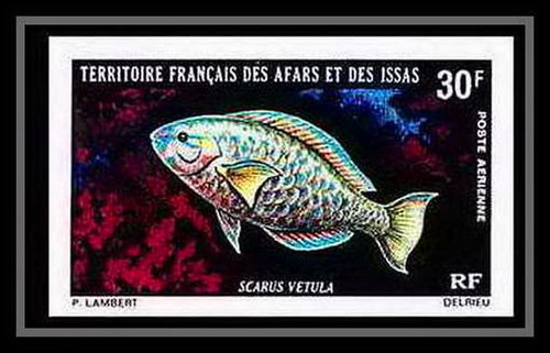 91633 afars issas n 66 - 91633, et