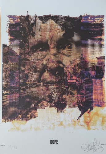 Dop vhils 2024 - dop,