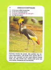 Carte N°F3 - Oiseaux exotiques - Grue couronnée au cou gris