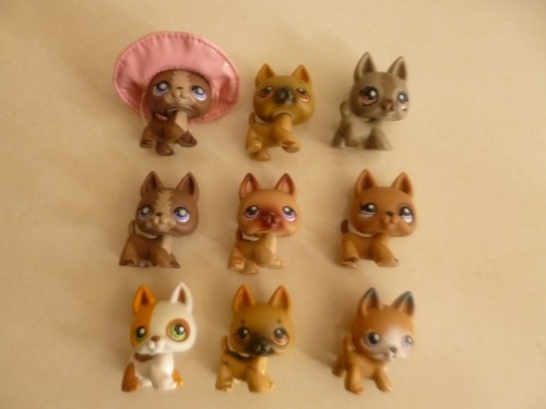 Littlest pet shop auth lps - pet,
