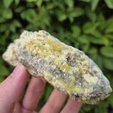 Soufre cristallisé sur gangue