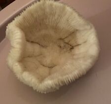 Corail blanc ancien Fungia Scutaria à lamelles dit « coussin de requin » 