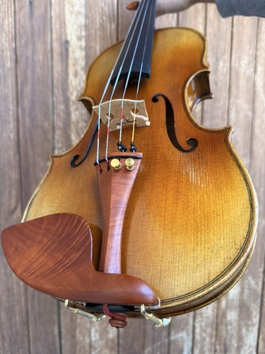 Violon guarneri prêt à - violon,