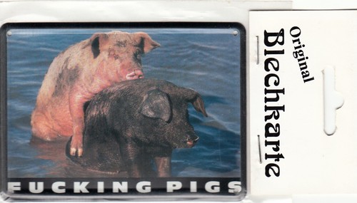 Plaque metal 11x8 fucking - plaque,