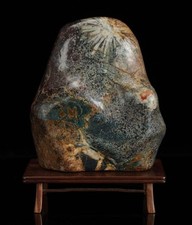 Base de chrysanthème blanc