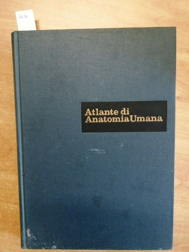 Atlas anatomie humaine - atlas,